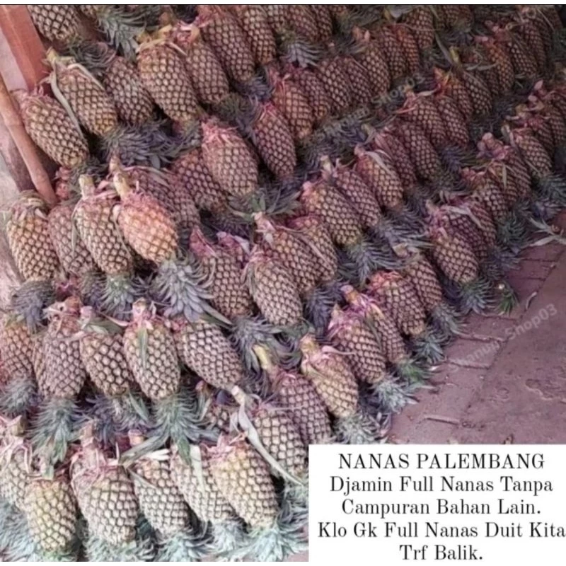 Selai Nanas Palembang Premium homemade 500 gr - Gambar 5